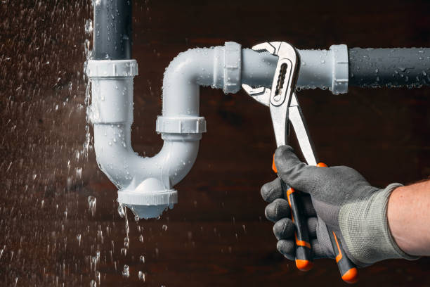 Professional Plumber technician working in Alba, MO